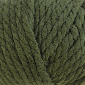 
            
                Load image into Gallery viewer, Broadway Yarns NZ Super Chunky - Fern
            
        